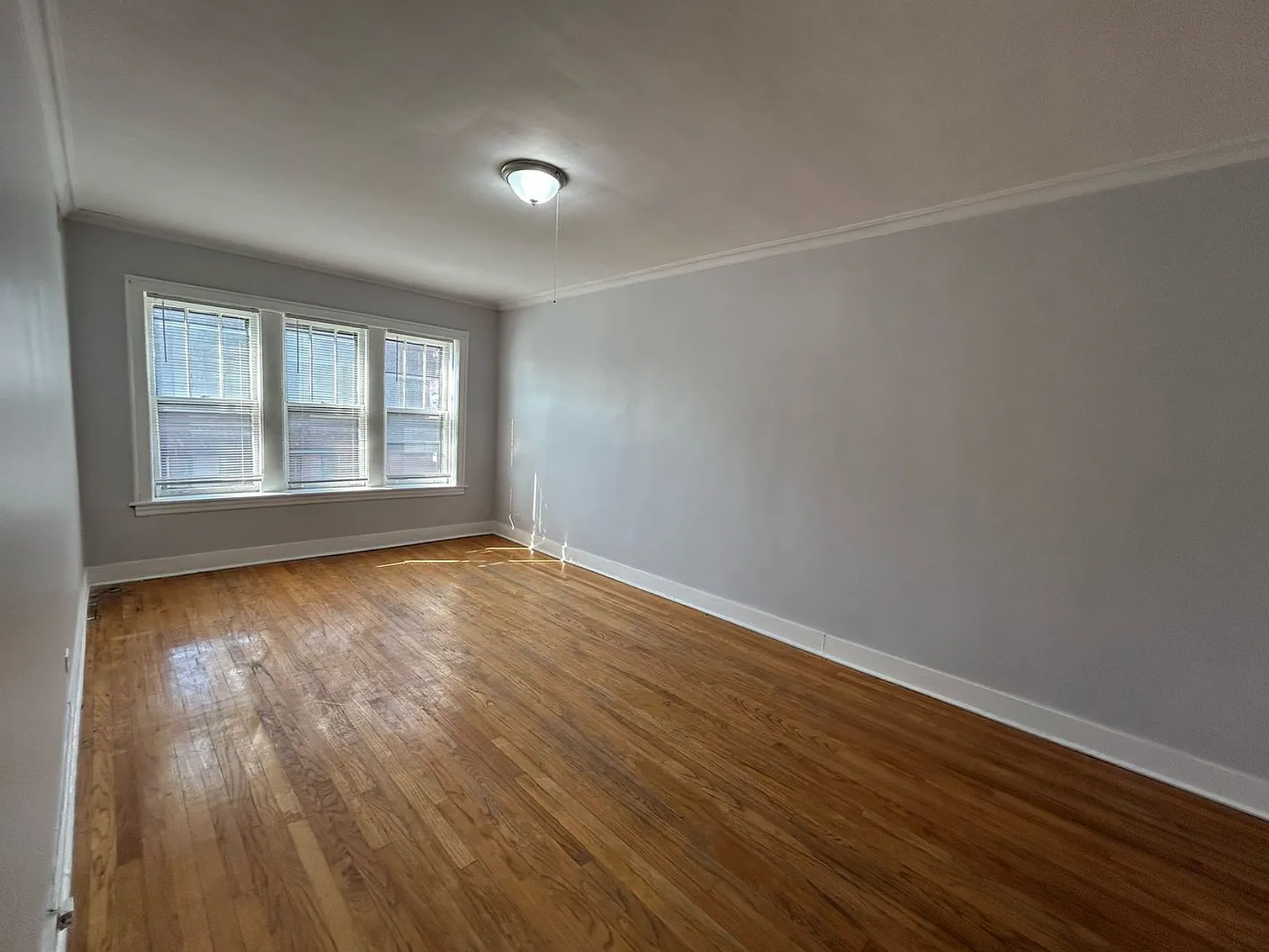 1 bed, 800 sqft, $1,500 — Photo 4