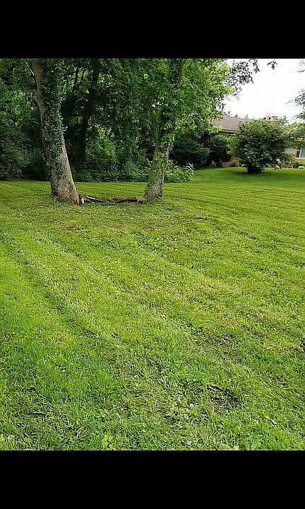 2nd image of 5108 Maryview Dr