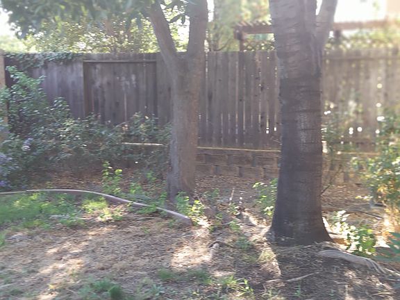 5th image of 1184 Villaggio Cir