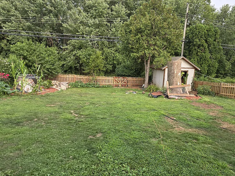 Backyard