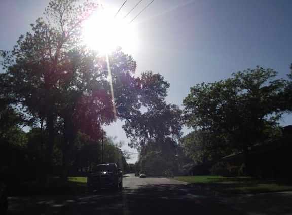 3rd image of 2433 Whitewood Dr