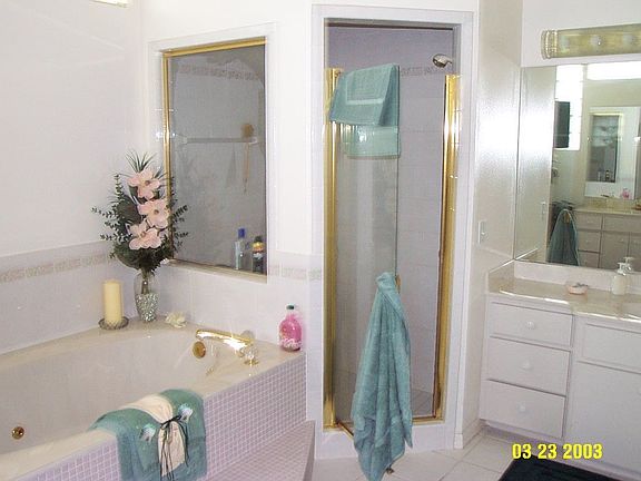 Jet tub, huge shower