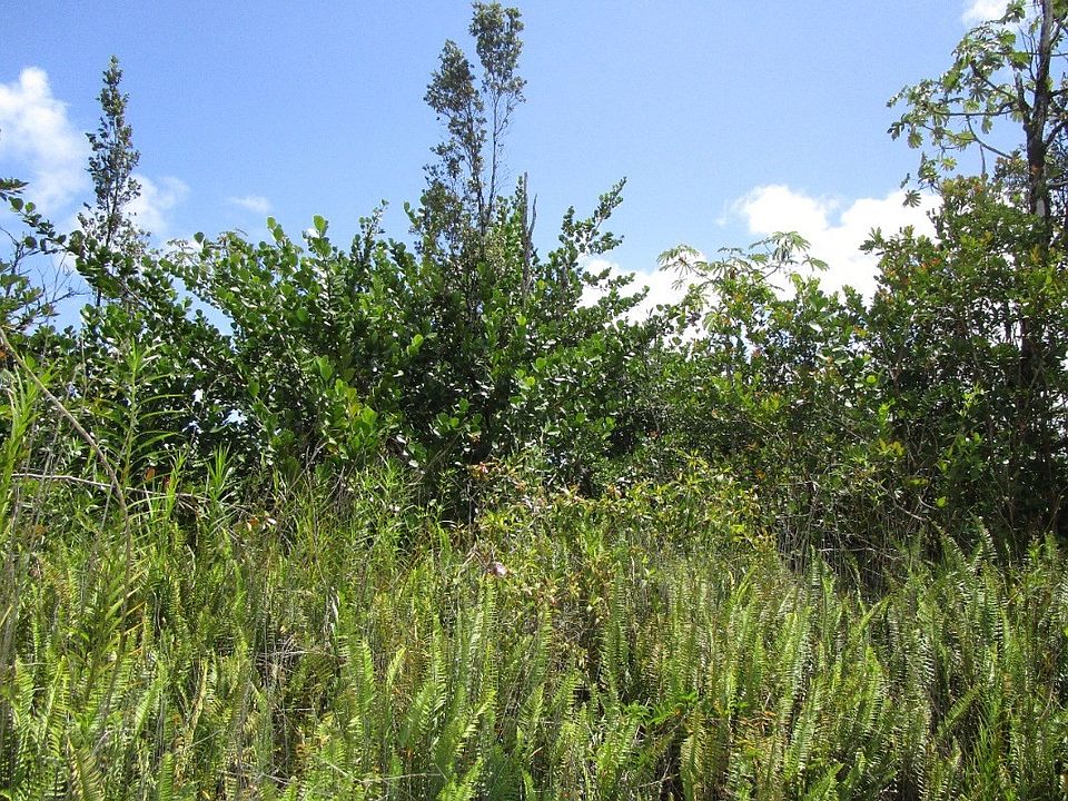 2nd image of 8th Avenue Kahili Lot 2012