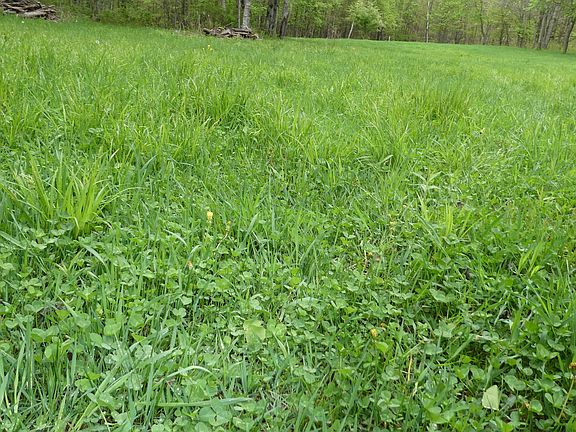 4th image of 10650 Cook Ave Lot Wp001