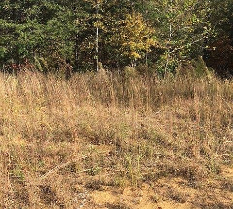 5th image of 106 Rock Creek Dr