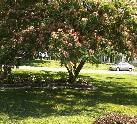 3rd image of 1342 Lee Dr