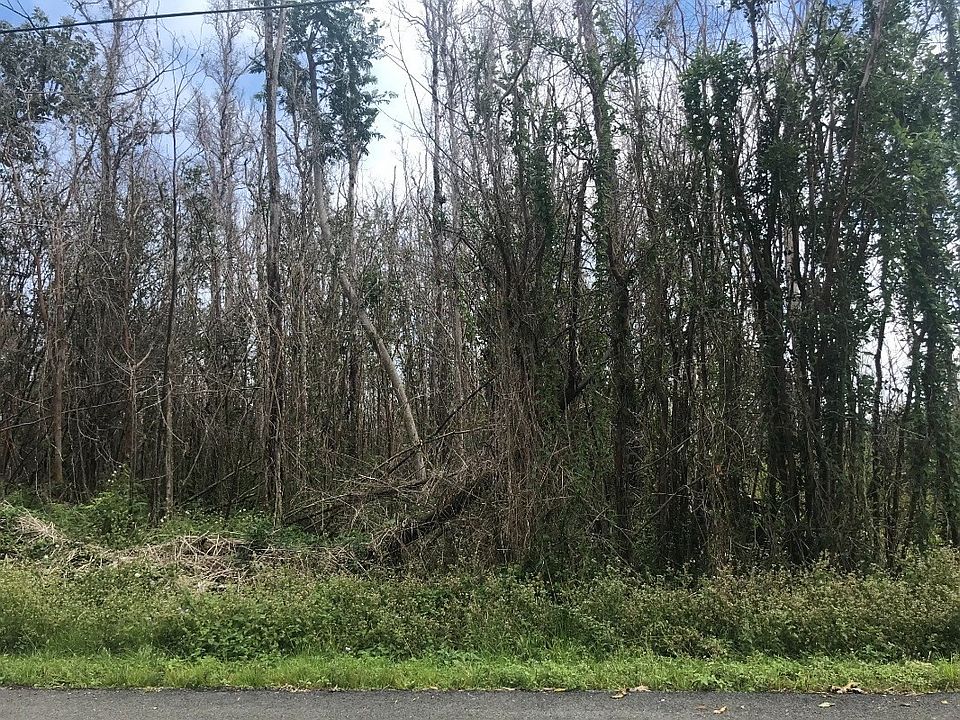 1st image of Malama St