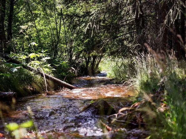 8300 Brookside Meadows Ln, Shingletown, CA 96088