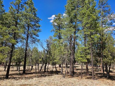 5412 Starlight Dr, Happy Jack, AZ, 86024