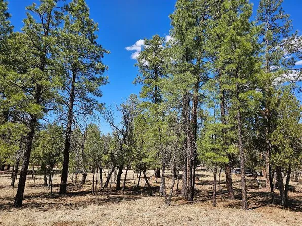 5412 Starlight Dr, Happy Jack, AZ 86024