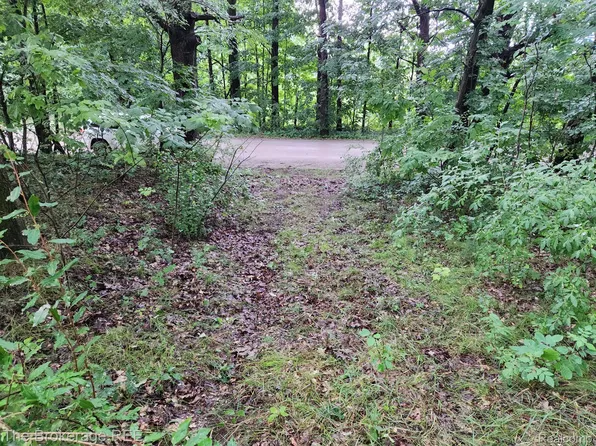 0 Hasslick Rd, North Branch, MI 48461