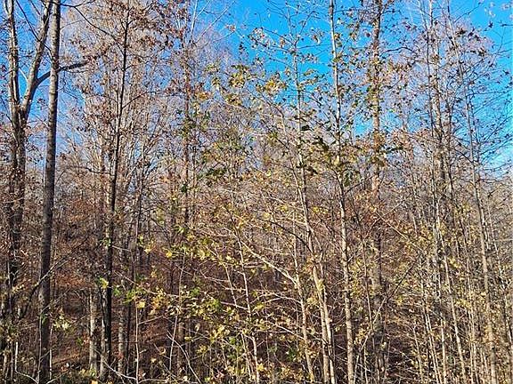 4th image of 6819 Long Meadow Dr