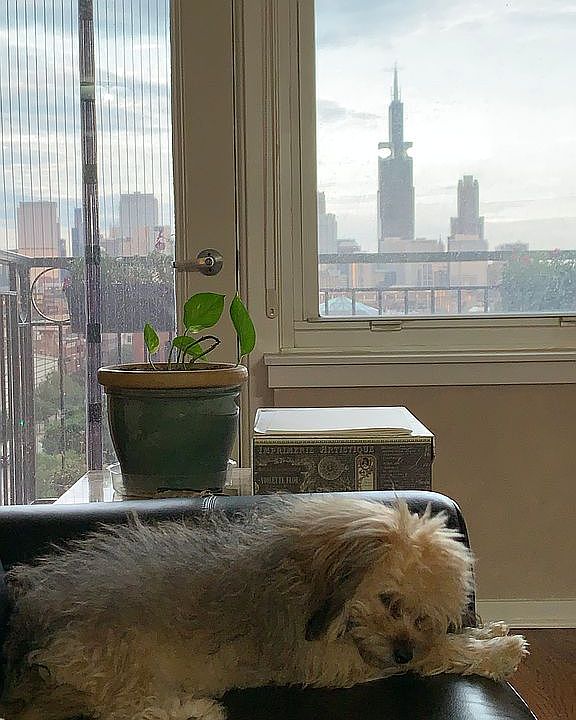 living room view pup not inc