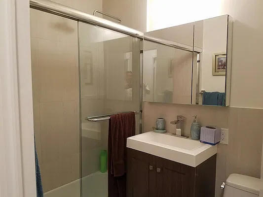 Rented by Manhattan Apartment Organization | media 29