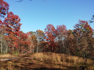 35771 Devils Frk, Marietta, SC 29661