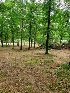 000 Highshore Road, Galena, MO, 65656
