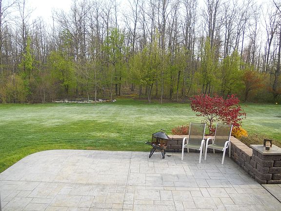 backyard to woods
