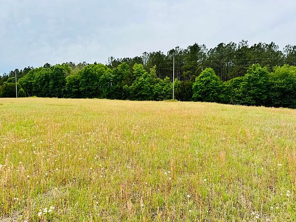 2nd image of 19 Acres Hwy #55