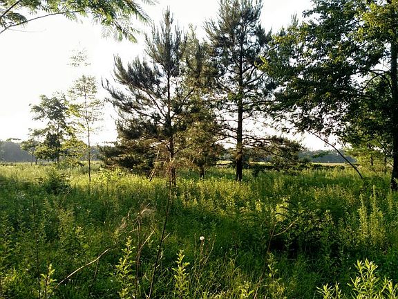 2nd image of 249 SW Grassland Way