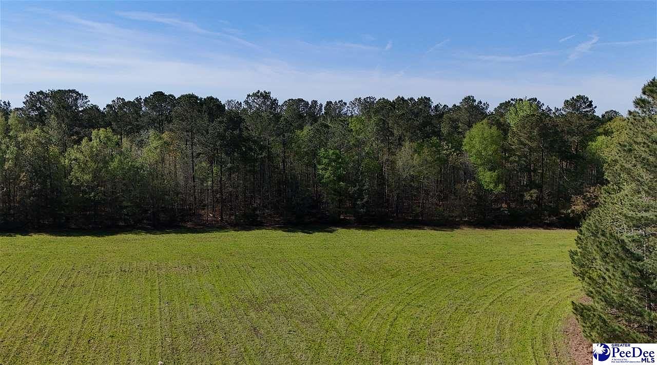 Butler Bay Rd, Greeleyville, SC 29056 Zillow