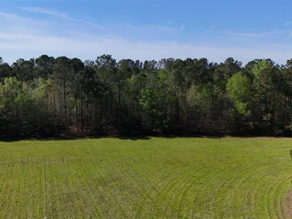 Butler Bay Rd, Greeleyville, SC 29056