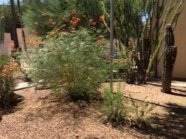 1620 N Wilmot Rd Unit E150, Tucson, AZ 85712