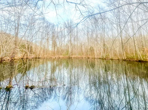 0 Johnson Mill Branch Rd, Lutts, TN 38471