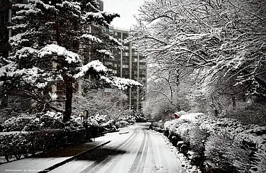 4465 Douglas Avenue #9M image 1 of 15