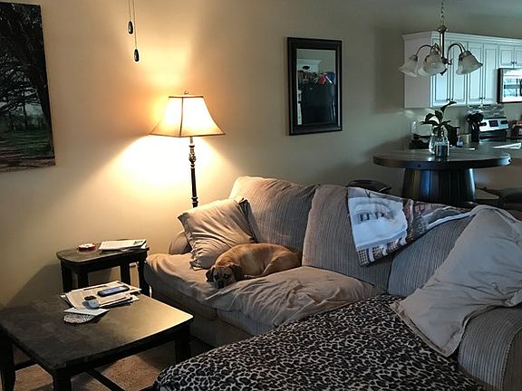 3rd image of 6011 Village West Ln