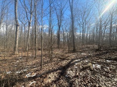Hartland Rd, Fenton, MI, 48430