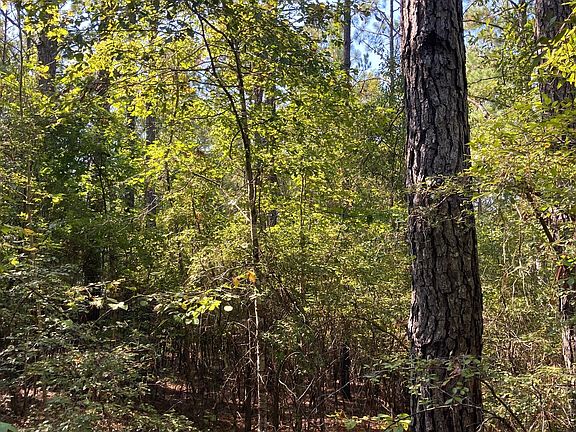 4th image of 0 Firetower Rd