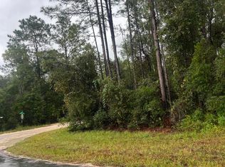 Tbd NE 110th Lane, Archer, FL 32618