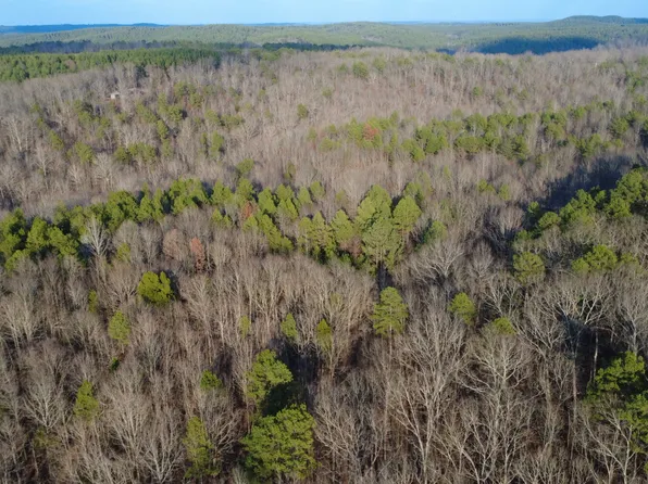 61 County Road 650, Walnut, MS 38683