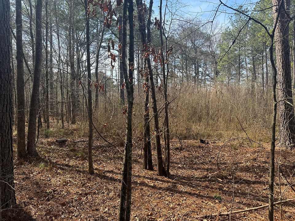 2nd image of 0 Pierce Rd
