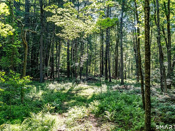 5th image of 00 Great Hollow Road