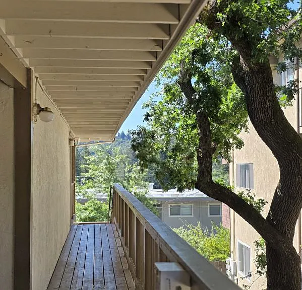 3572 Terrace Way — Photo 1