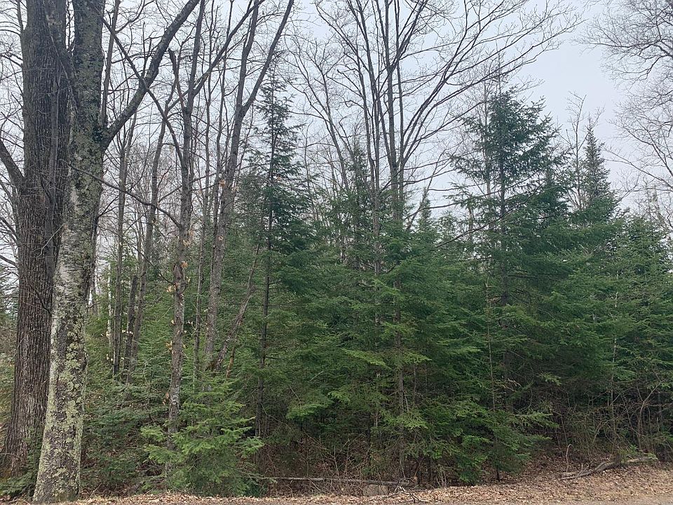 2nd image of Sampson Rd
