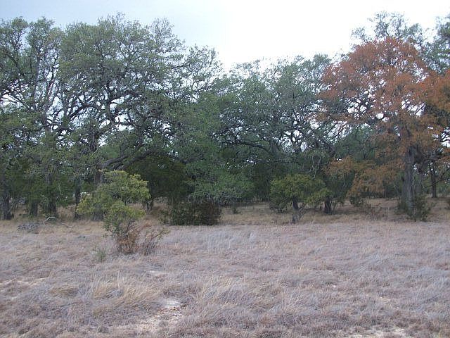1st image of 1031 Bridlewood
