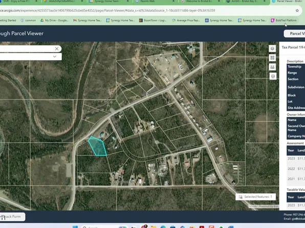 L4-B4 King Salmon Creek Rd, King Salmon, AK 99613