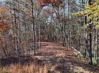 197 Spring Winds Dr, Cleveland, GA 30528