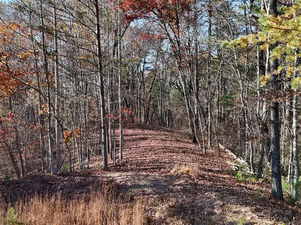 197 Spring Winds Dr, Cleveland, GA 30528