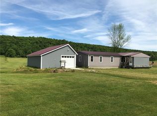 9642 S Dayton Silver Creek Rd, Forestville, NY 14062