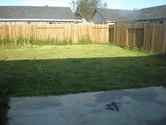 5th image of 980 El Dorado St