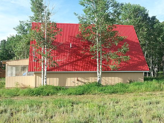 Lots of aspens trees in fron