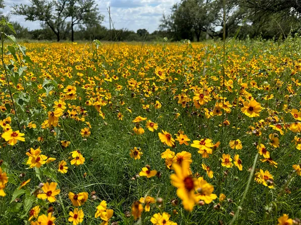 Tbd1018 Lake Breeze Dr, Brownwood, TX 76801