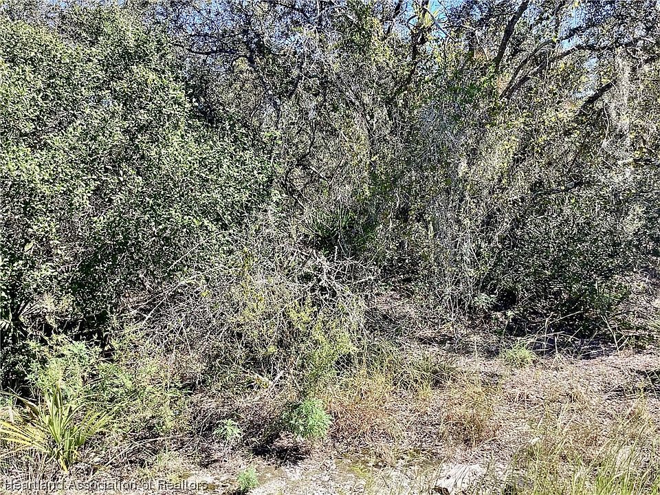 1st image of 223 Summer Wind Ln