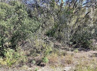 223 Summer Wind Ln, Lake Placid, FL 33852