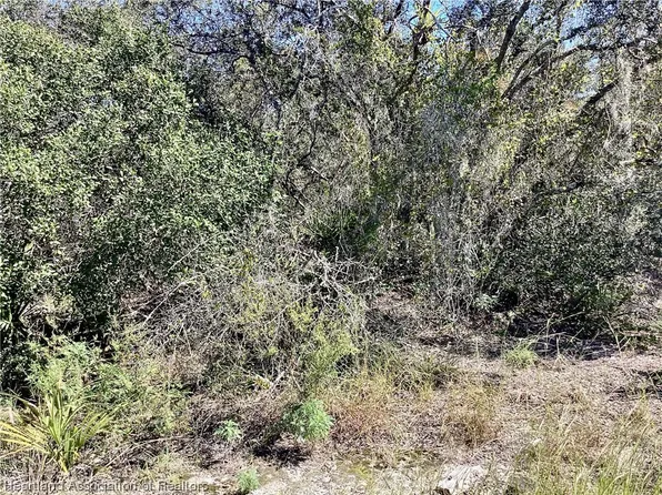 223 Summer Wind Ln, Lake Placid, FL 33852