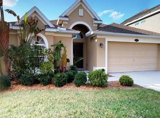 20206 Natures Spirit Dr, Tampa, FL 33647