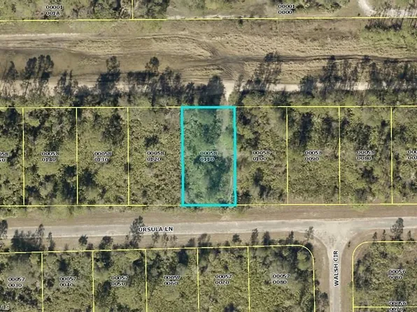 384 Ursula Ln, Lehigh Acres, FL 33972